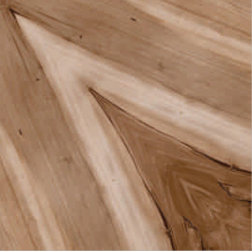 Description of Image 1