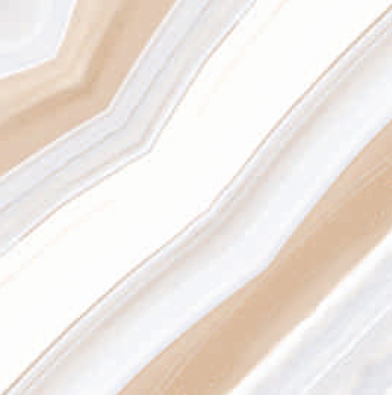 Description of Image 1